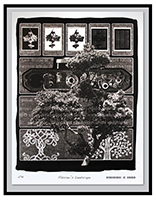 'Flüsser's Landscape' • palladium print  •  7.5" x 27"
